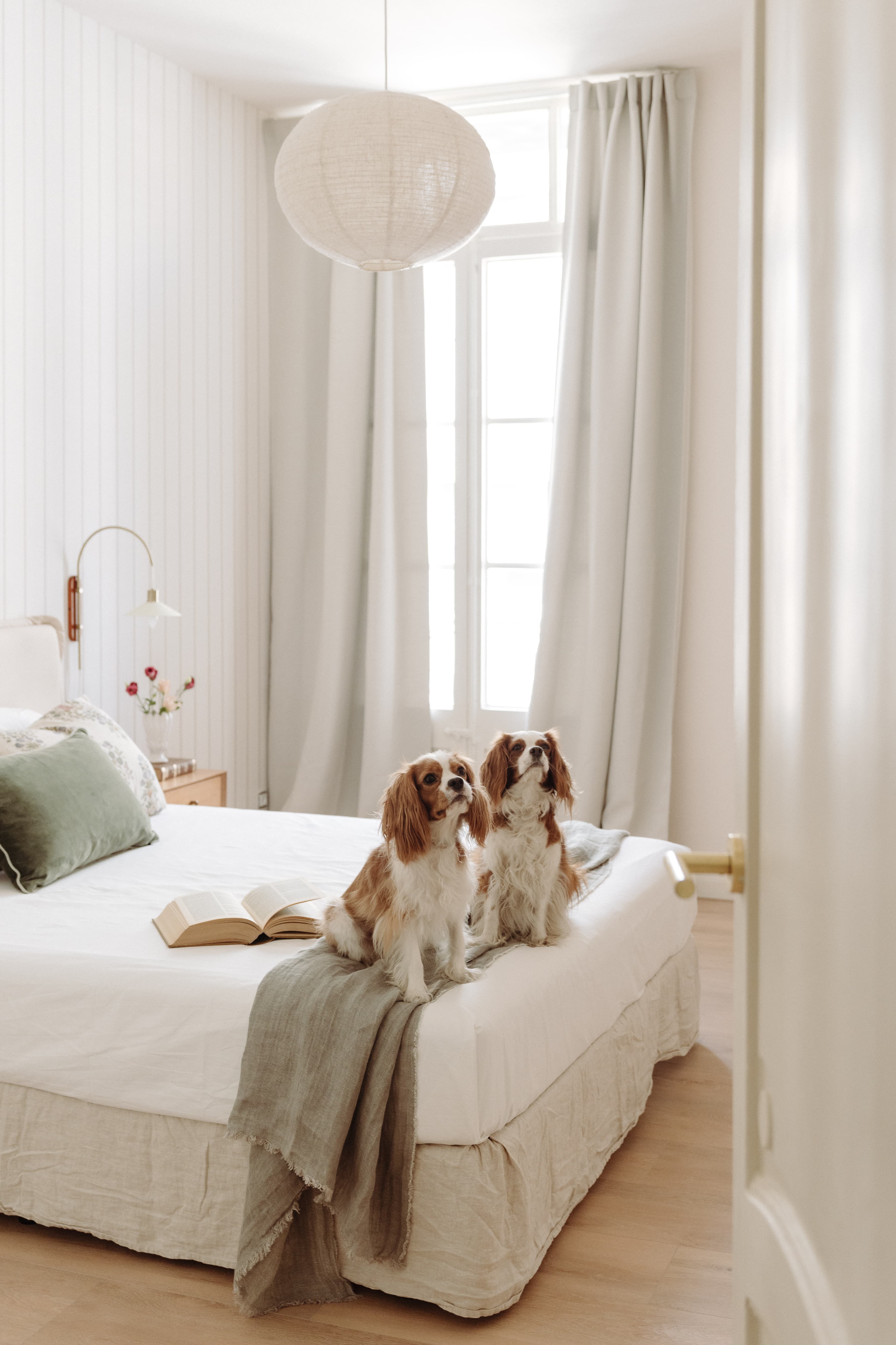 Vista del dormitorio con la cama, mesitas de noche y lámparas, con dos perros en la cama