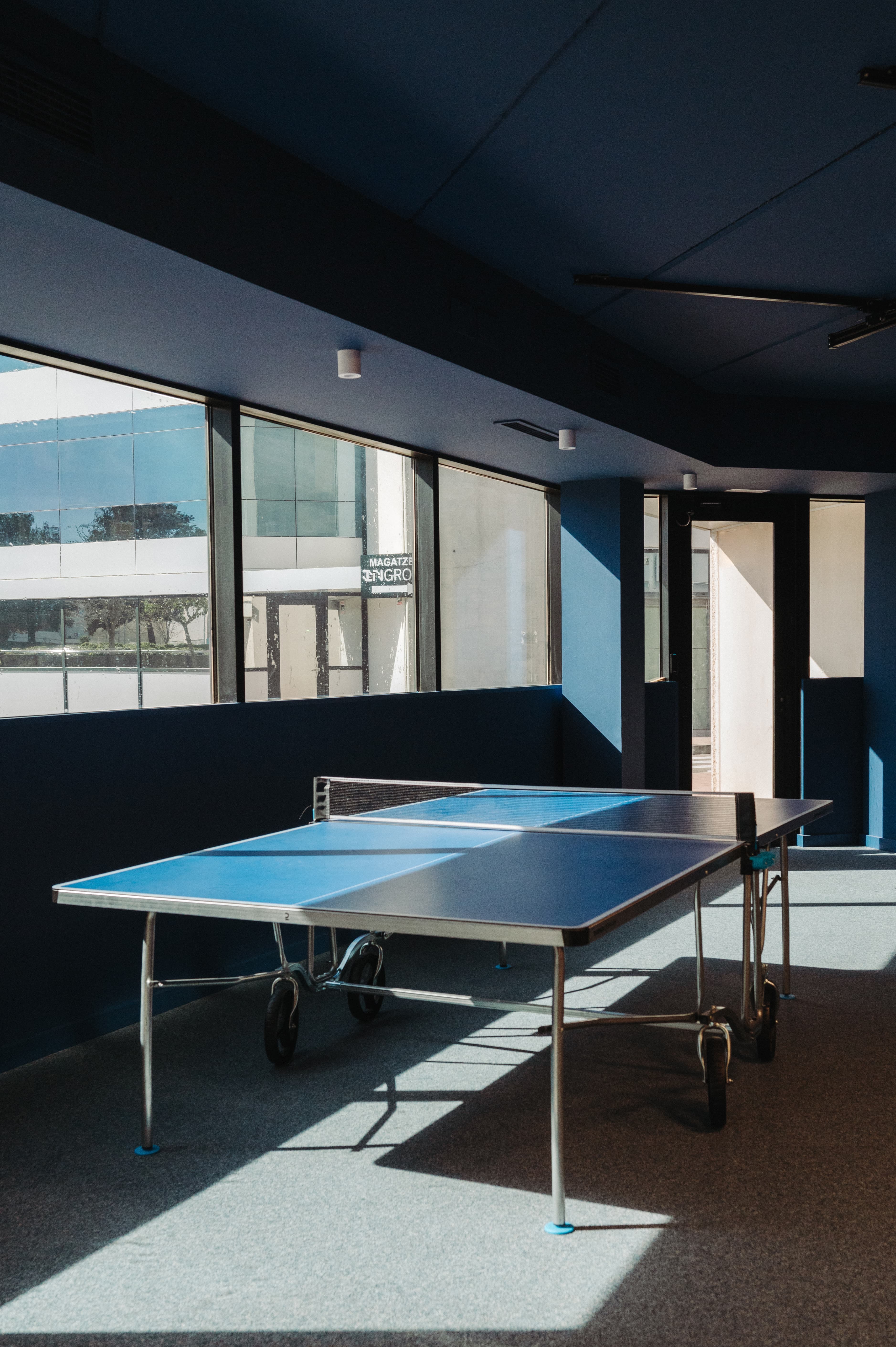 Mesa de ping pong