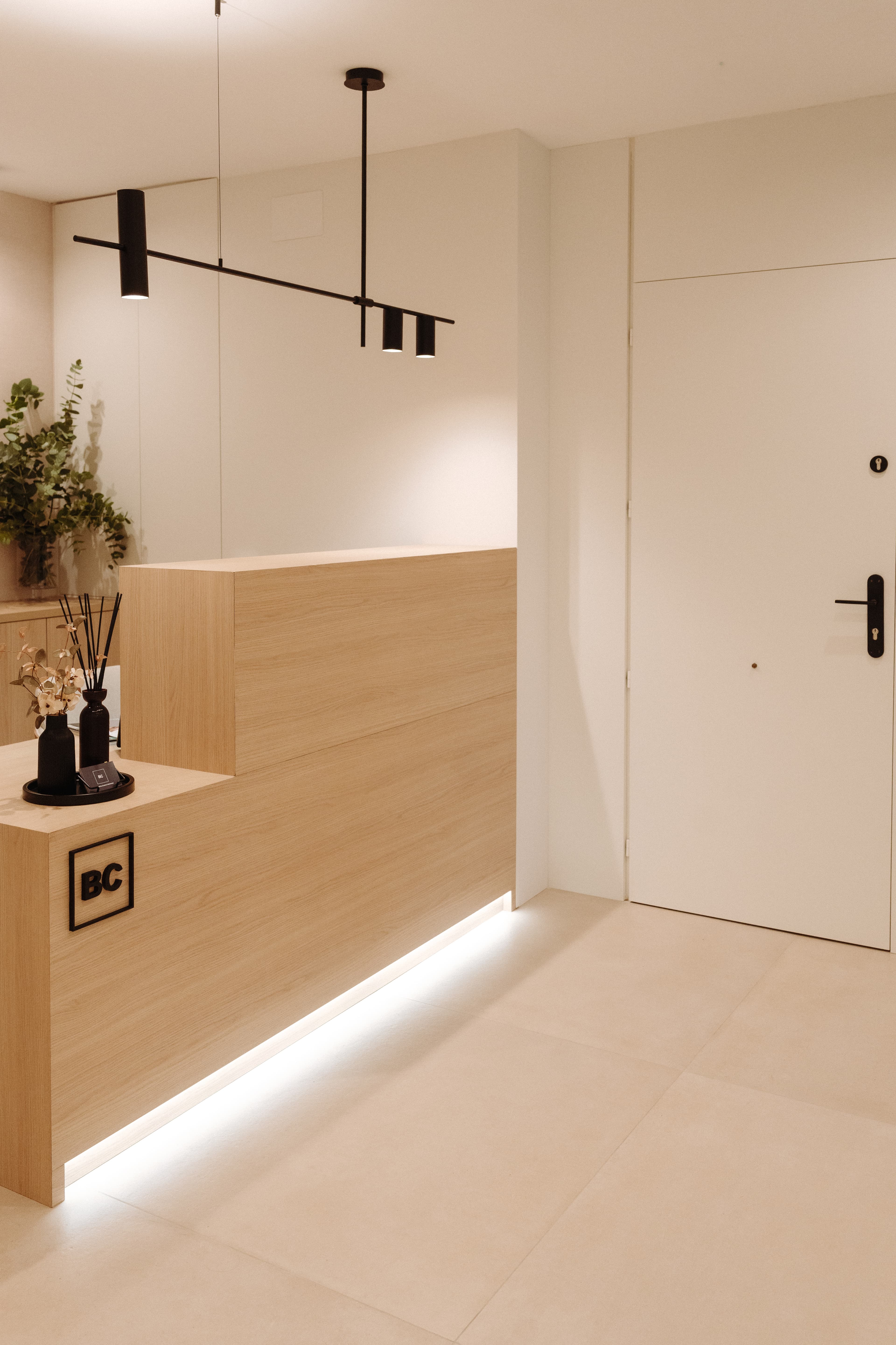 Vista de la puerta principal de la clínica al lado del mostrador