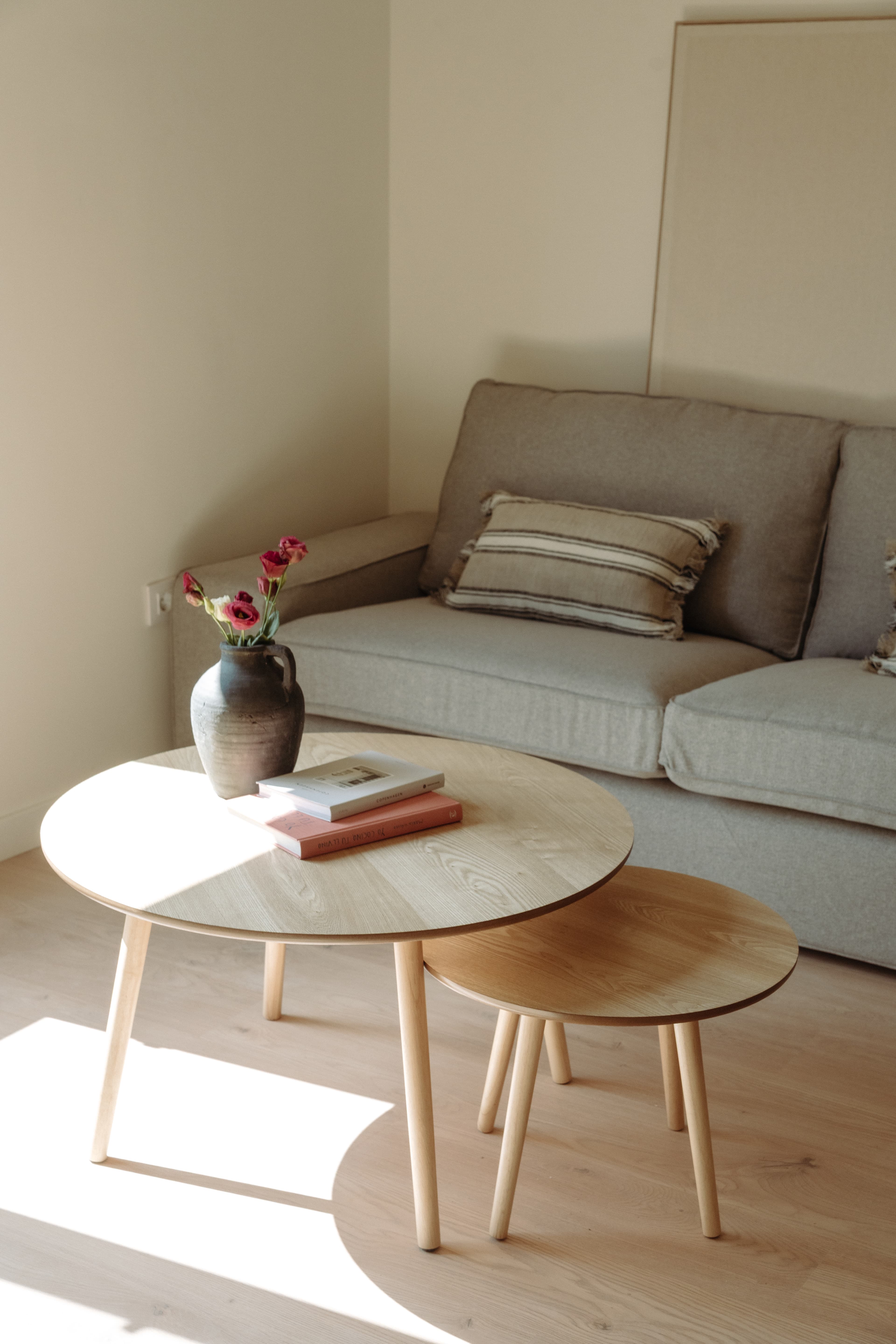 Mesita de salón con libros y una planta encima, con sofá de fondo